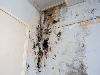 About The Lakes Water Damage Restoration - water damage restoration experts in The Lakes